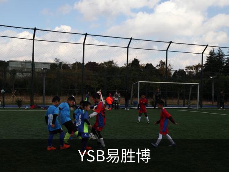 YSB易胜博品牌故事